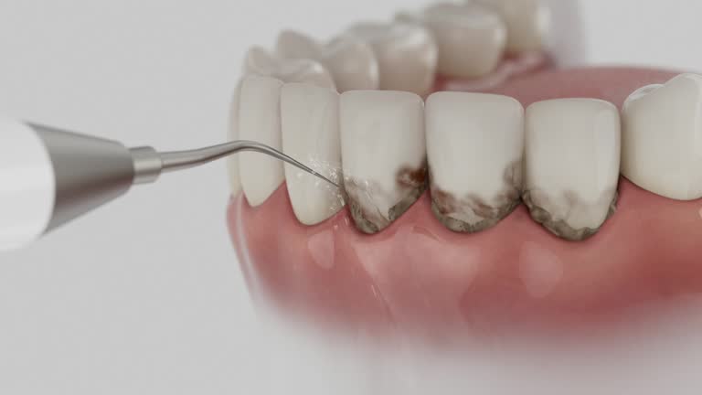 Reliable Dental contractor in Glen Allen, VA by Dentist Open Now